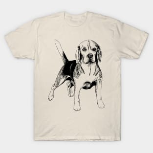 beagle T-Shirt